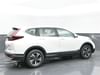 6 thumbnail image of  2021 Honda CR-V Special Edition