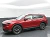 2 thumbnail image of  2026 Honda CR-V EX-L